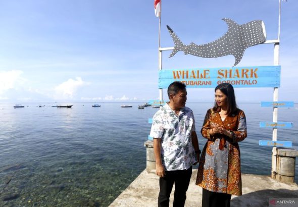 Kunjungan-Wamen-Pariwisata-Di-Hiu-Paus-Gorontalo-280925-Aws-3