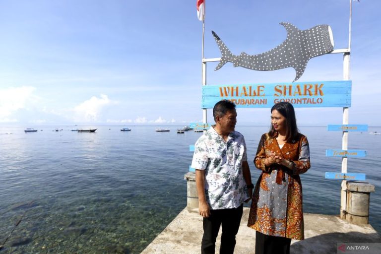 Kunjungan-Wamen-Pariwisata-Di-Hiu-Paus-Gorontalo-280925-Aws-3